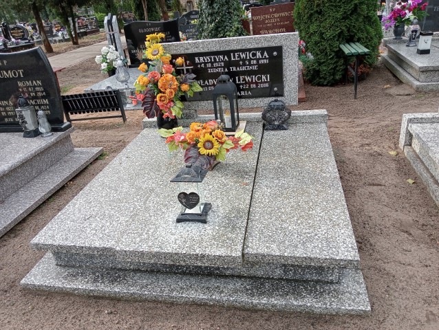 Grób Władysław Lewicki