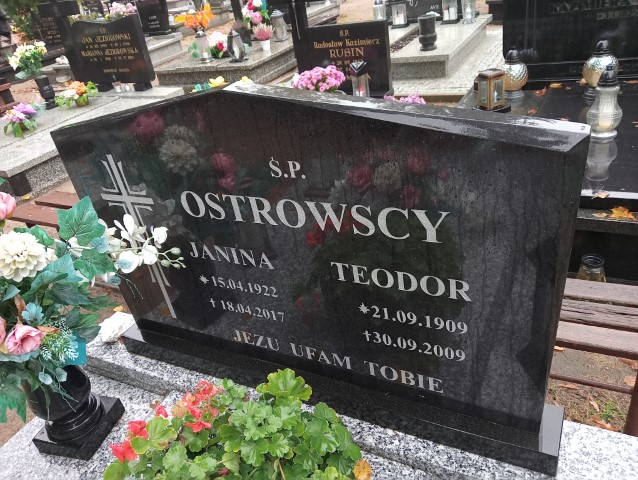 Teodor Ostrowski 1909 Drezdenko - Grobonet - Wyszukiwarka osób pochowanych