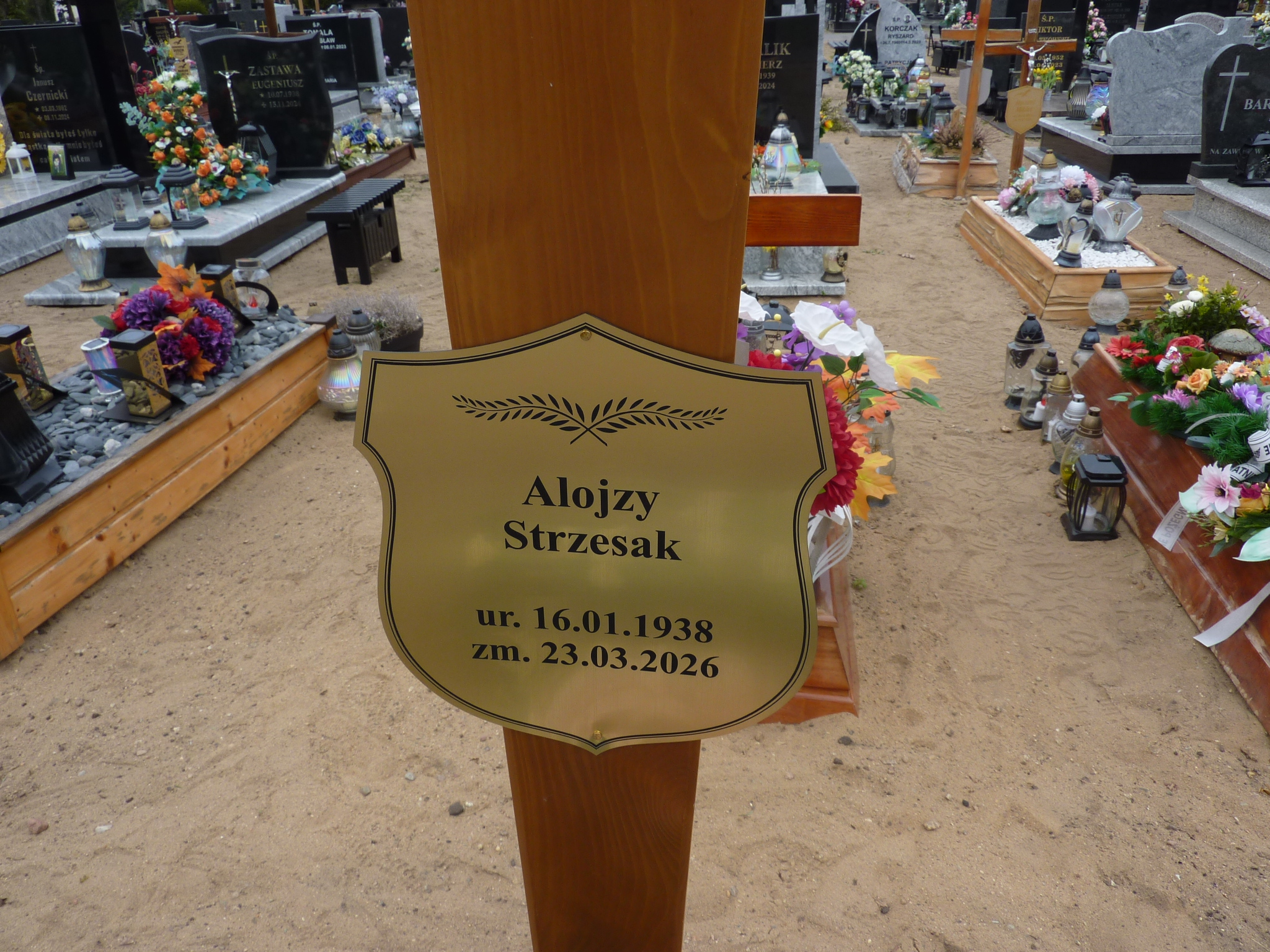 Alojzy STRZESAK 1938 Drezdenko - Grobonet - Wyszukiwarka osób pochowanych