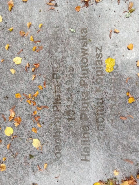 Andrzej Pluta-Plutowski 1944 Drezdenko - Grobonet - Wyszukiwarka osób pochowanych