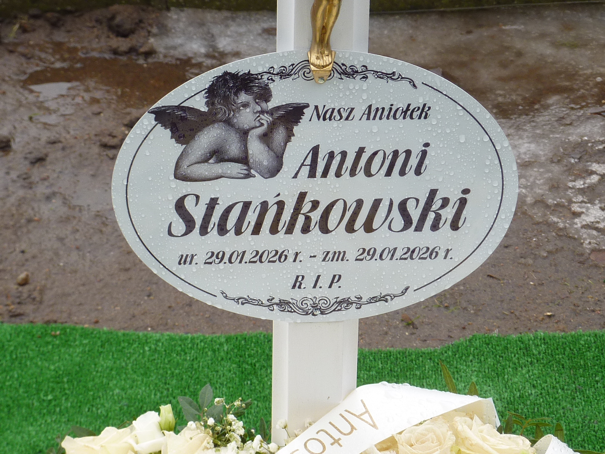 Antoni STAŃKOWSKI 2026 Drezdenko - Grobonet - Wyszukiwarka osób pochowanych